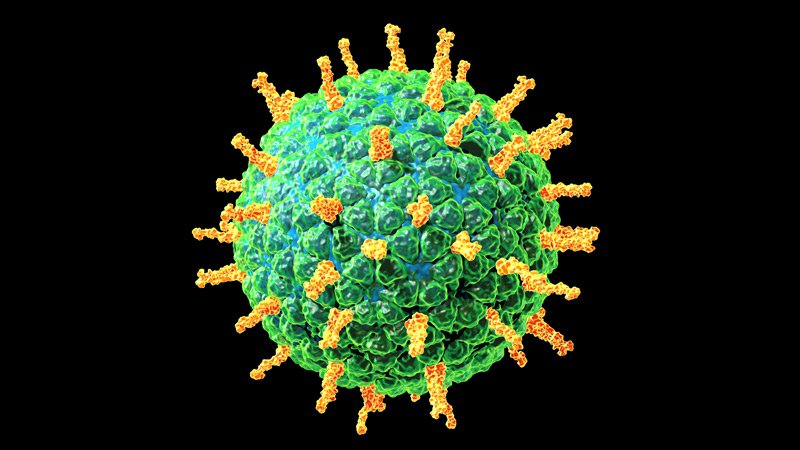Rotavirus là gì? Cơ chế lây lan của virus như thế nào?