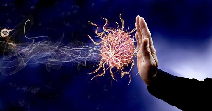 Các thành phần tế bào của hệ thống miễn dịch