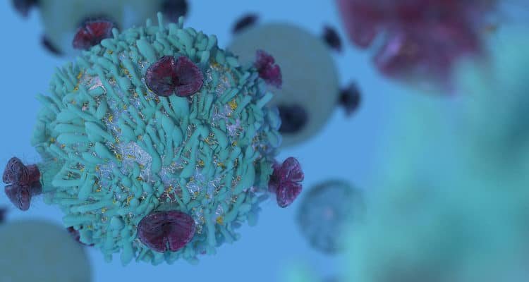 Tế bào lympho T: Những điều cần biết