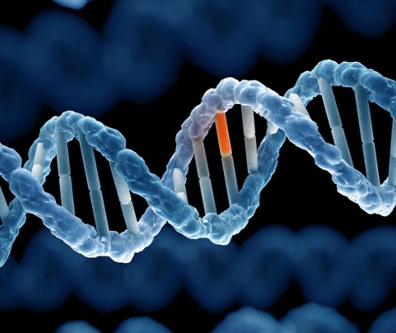 Gen là gì? Rối loạn di truyền là gì?